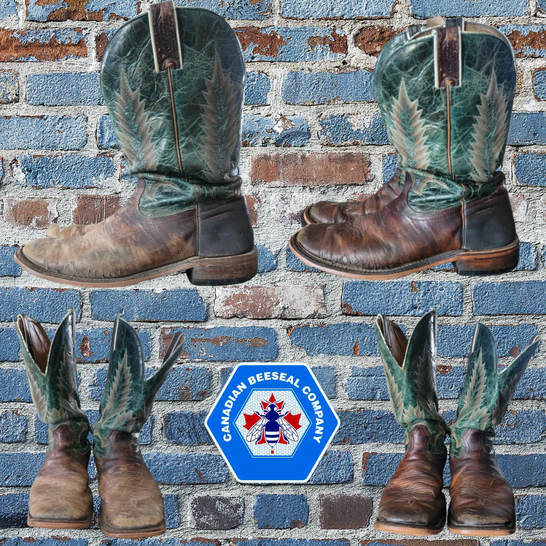 Shoe Shine Kit – Premium Leather Care Set with 2 75g/2.75oz Sizes - Image 8